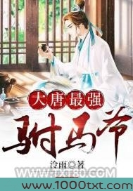 大唐最强驸马爷