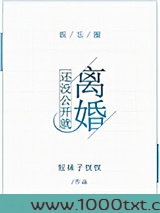 还没公开就离婚[娱乐圈]