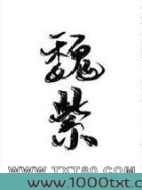 魏紫[清穿]图片