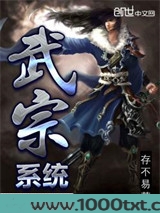 武宗系统图片