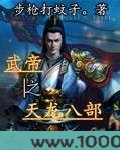 武帝之天龙八部图片