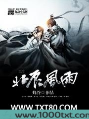 北辰风雨图片