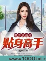 绝美总裁的贴身高手图片