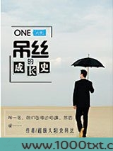 一个吊丝的成长史图片