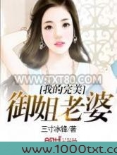 我的完美御姐老婆图片