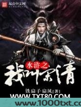 水浒之我叫宋清图片