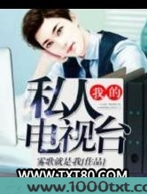 我的私人电视台图片