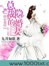 南心北往，总裁的隐婚妻