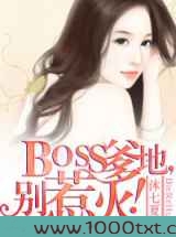 BOSS爹地,别惹火!图片