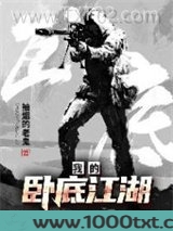 我的卧底江湖图片