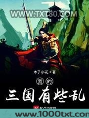 我的三国有些乱图片