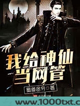我给神仙当网管图片