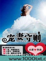 宠妻守则图片