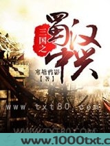 三国之蜀汉中兴图片