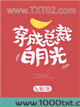 穿成总裁白月光