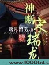 神断宋瑞龙