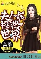 夫人在拯救世界图片