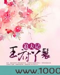 王府丫鬟追夫记图片