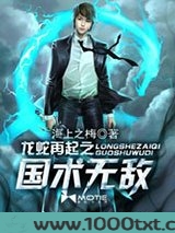 龙蛇再起之国术无敌