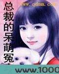 总裁的呆萌冤家图片