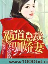 爱火燎原,霸道总裁驯娇妻图片