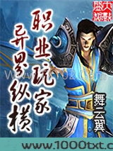 职业玩家异界纵横图片