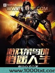 游戏菜鸟的逍遥人生图片