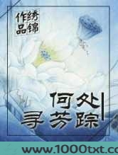 何处寻芳踪