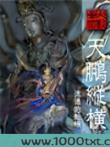 天鹏纵横图片