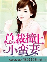 总裁撞上小蛮妻图片