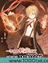 一不小心转生成了魔导书图片