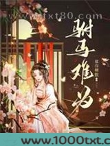 驸马难为图片