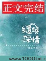 缱绻深情[娱乐圈]图片