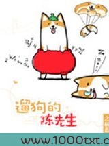 遛狗的陈先生图片