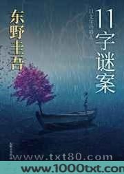 11字谜案图片