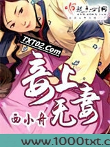 妾上无妻图片