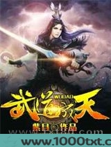 武道成天图片