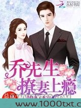 乔先生，撩妻上瘾！图片