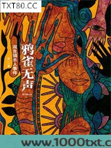鸦雀无声：双生镇杀人事件图片