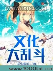 文化大乱斗