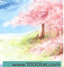 Summer流光图片