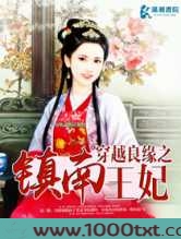 穿越良缘之镇南王妃