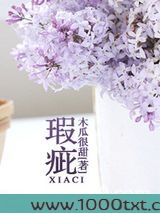 瑕疵图片