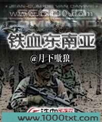 铁血东南亚图片