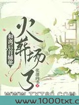 和离后首辅他火葬场了图片