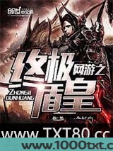 网游之终极盾皇图片