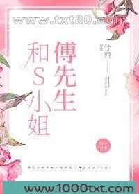 傅先生和S小姐图片