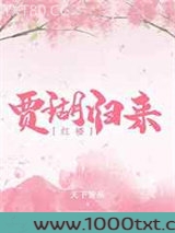 [红楼]贾瑚归来