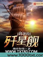 奶爸的歼星舰图片