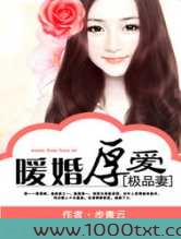 暖婚厚爱极品妻图片